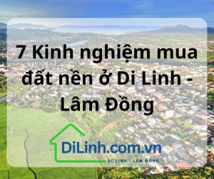7 Kinh nghiệm mua đất nền ở Di Linh - Lâm Đồng