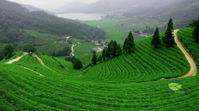 duong dong cap vntrip e1530174417978