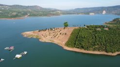 3ha3 3400m2 tho cu Tan Nghia Di Linh Lam Dong 2