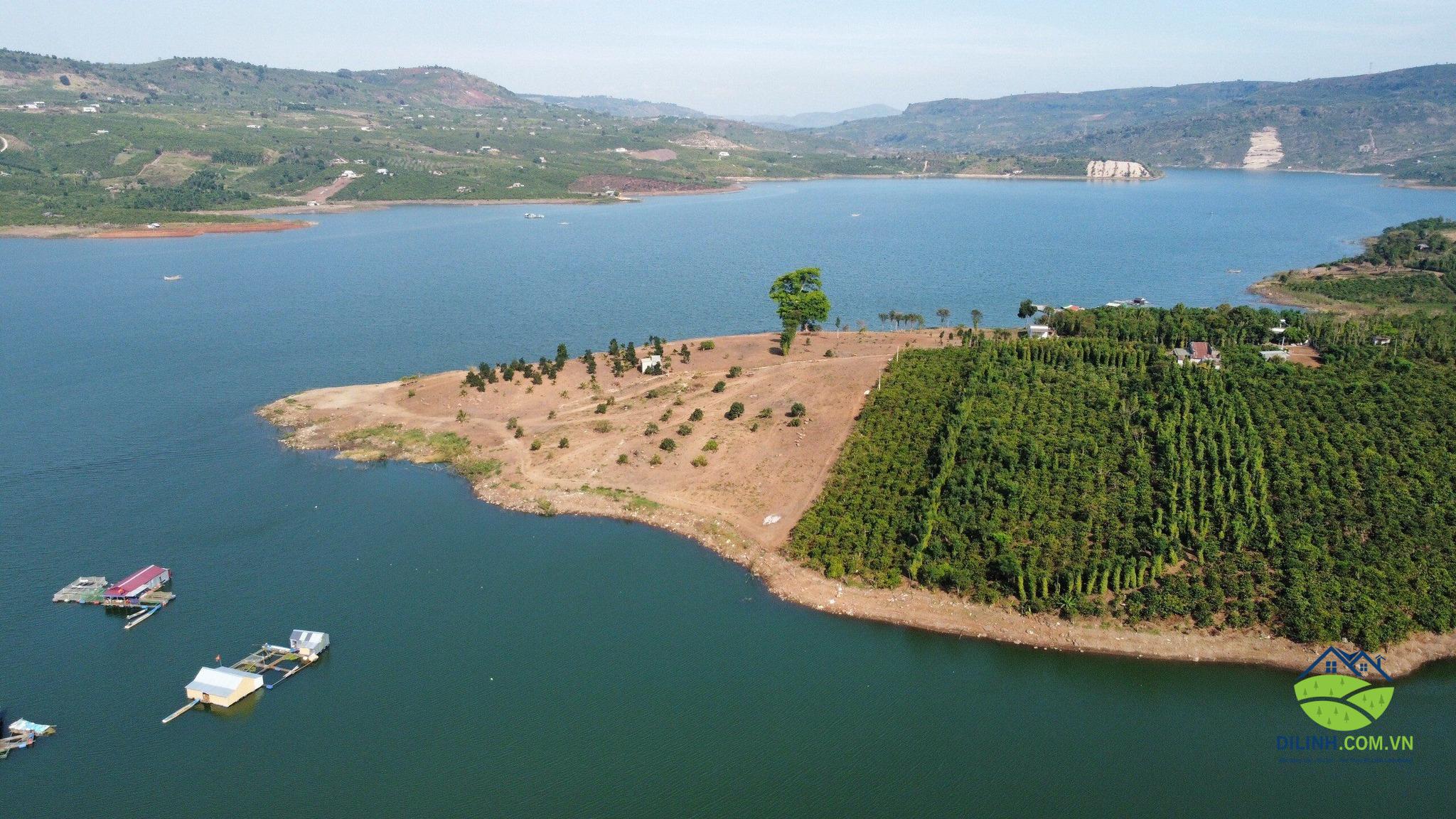 3ha3 3400m2 tho cu Tan Nghia Di Linh Lam Dong 2