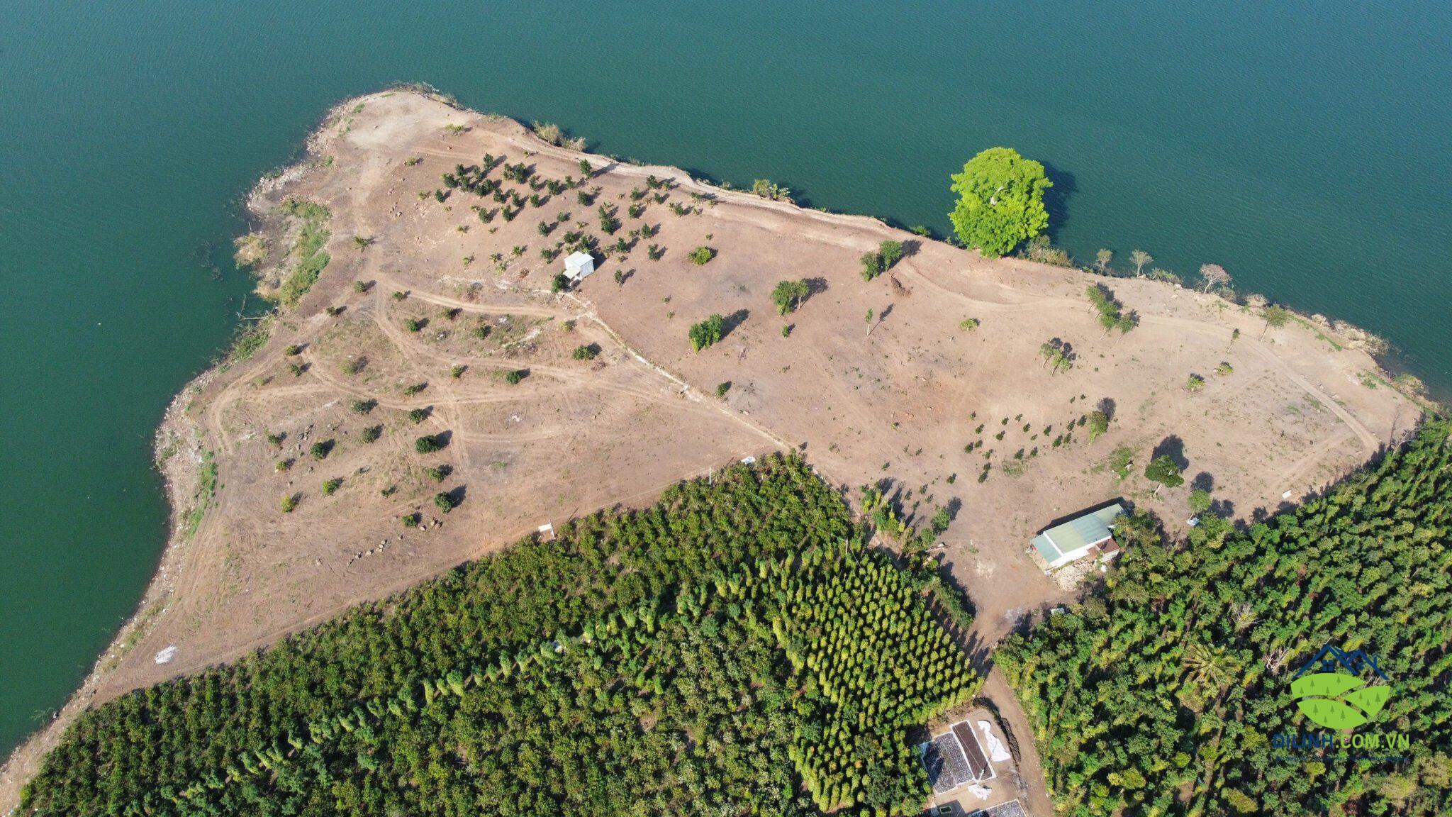 3ha3 3400m2 tho cu Tan Nghia Di Linh Lam Dong 3