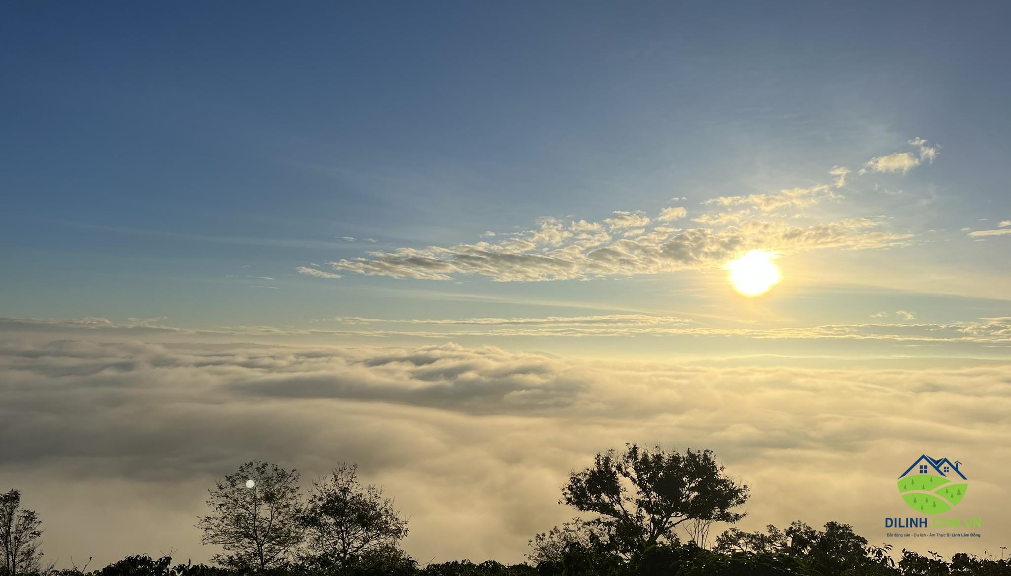 88000m2 tan thuong di linh lam dong view song dong nai 2