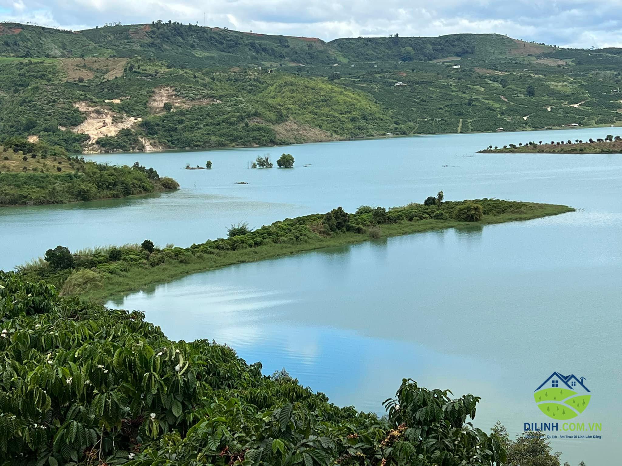 88000m2 tan thuong di linh lam dong view song dong nai 5