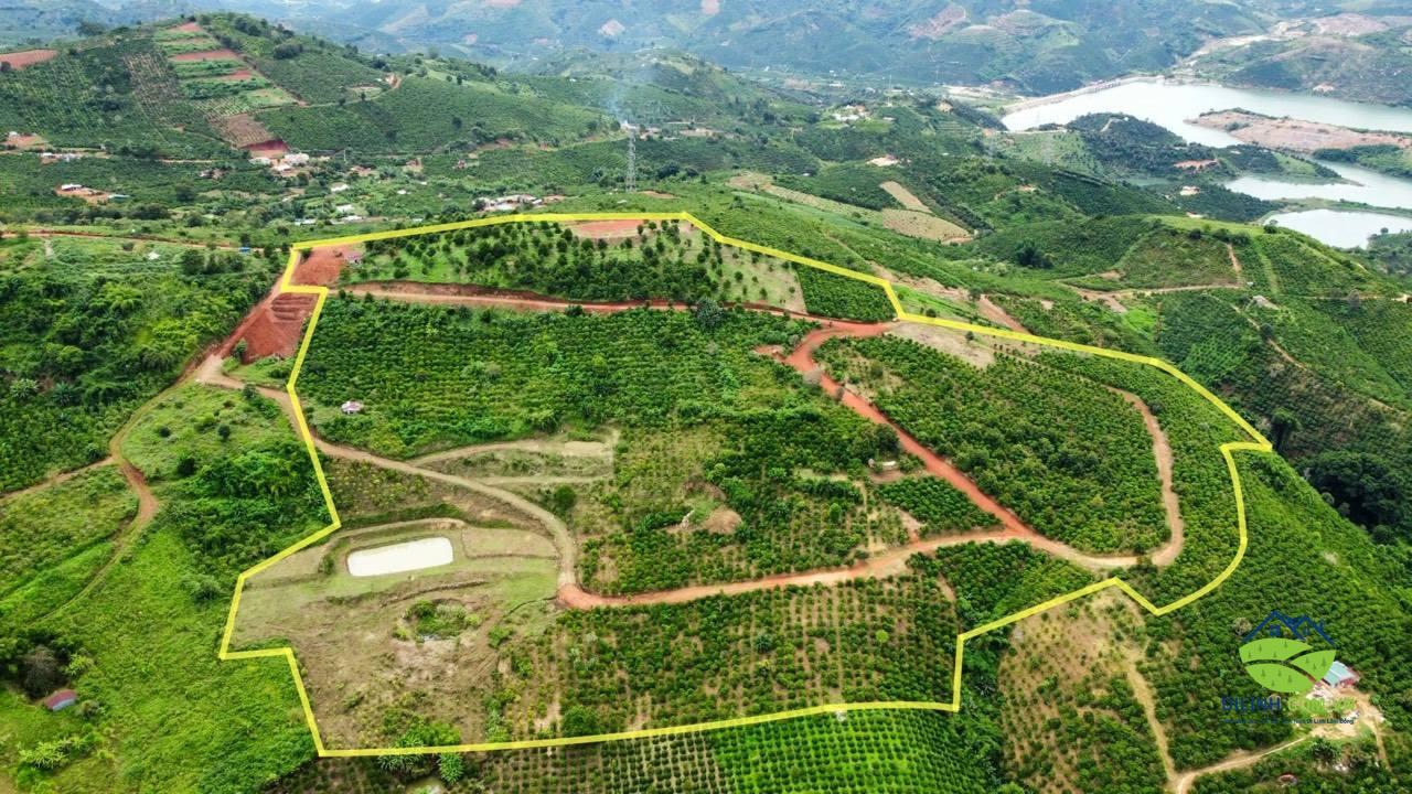 88000m2 tan thuong di linh lam dong view song dong nai