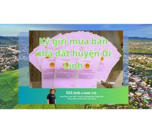 Ký gửi nhà đất huyện Di Linh