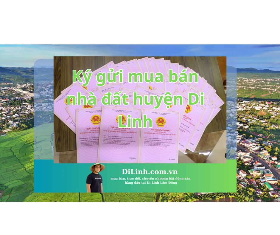 Ký gửi nhà đất huyện Di Linh