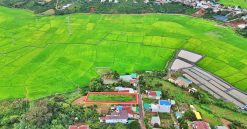 Lô nền Đoàn Thị Điểm, thị trấn Di Linh 18x51 (2)