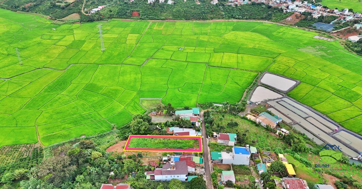 Lô nền Đoàn Thị Điểm, thị trấn Di Linh 18x51 (2)