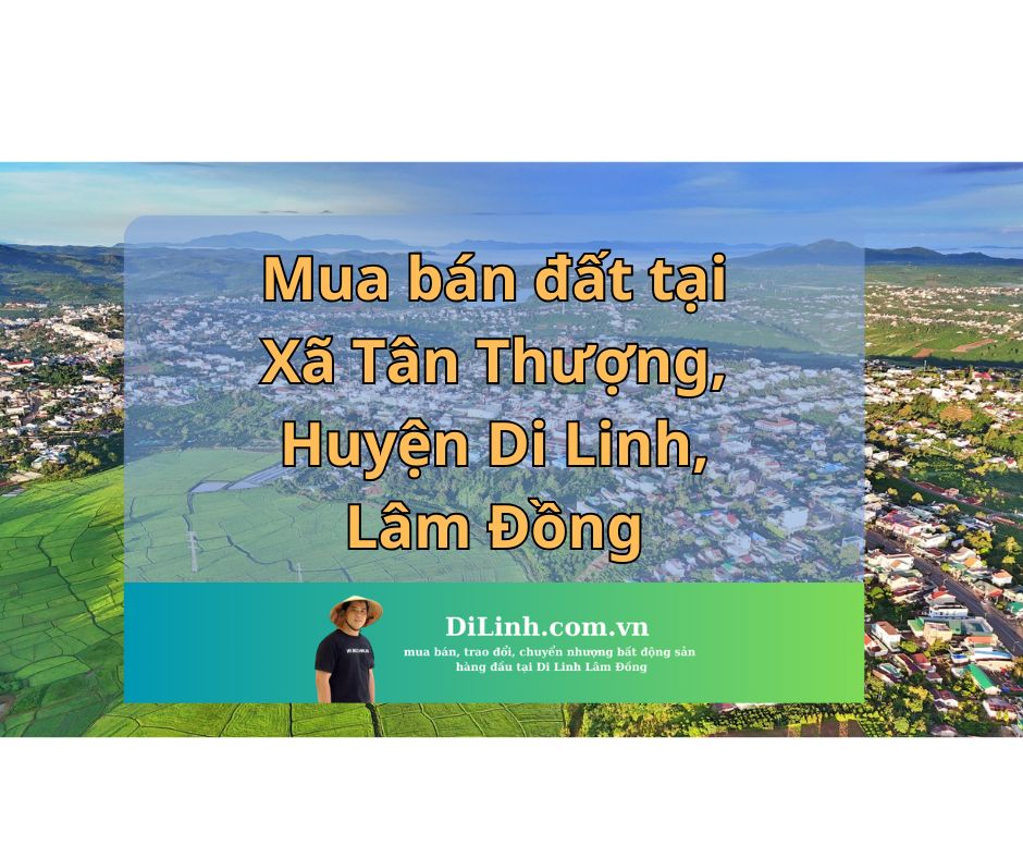 Mua bán đất tại Xã Tân Thượng, Huyện Di Linh, Lâm Đồng