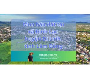 Mua bán đất tại xã Đinh Lạc, huyện Di Linh, tỉnh Lâm Đồng