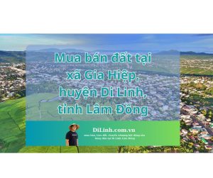 Mua bán đất tại xã Gia Hiệp, huyện Di Linh, tỉnh Lâm Đồng