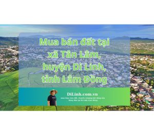 Mua bán đất tại xã Tân Lâm, huyện Di Linh, tỉnh Lâm Đồng