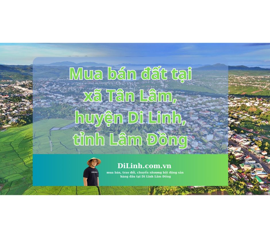 Mua bán đất tại xã Tân Lâm, huyện Di Linh, tỉnh Lâm Đồng