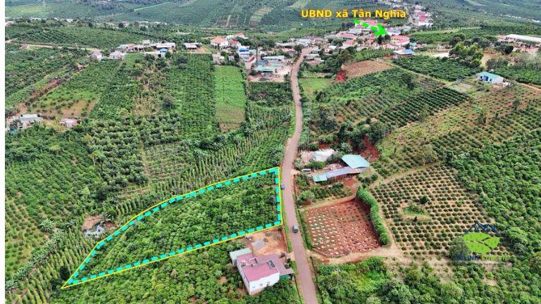 7745m2 gan 8 sao om 58m mat tien duong nhua ngay gan trung tam xa Tan Nghia 2