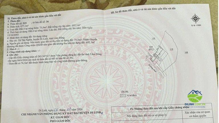 7745m2 gan 8 sao om 58m mat tien duong nhua ngay gan trung tam xa Tan Nghia 4