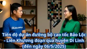 Cập Nhật Tiến Độ Cao Tốc Bảo Lộc - Liên Khương Đoạn Di Linh (0652025)