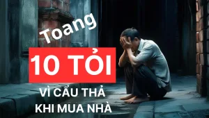 Rủi ro mua nhà đất Di Linh, Pháp lý nhà đất