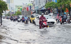 Hướng Đi Mới Cho Quyết Định Mua Bất Động Sản Bền Vững