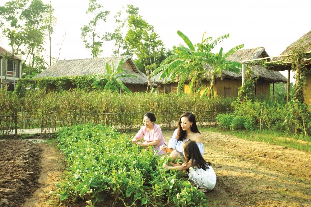 Bat dong san cham soc suc khoe 3